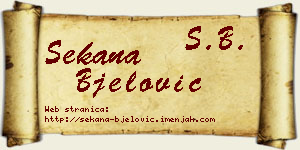 Sekana Bjelović vizit kartica